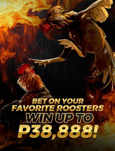 perya sabong|Goperya: Your Top Spot for Exciting Sabong Betting Online.